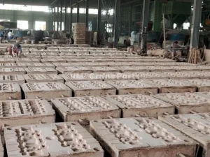 crane track shoe factory